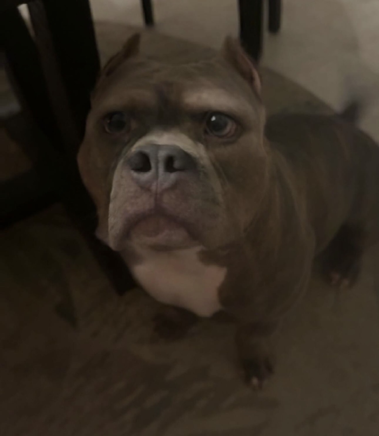 Ocin's avatar
