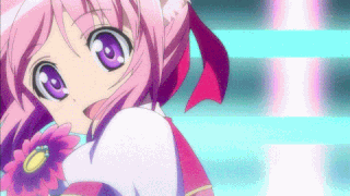 Millhiore Firianno Biscotti ( Dog Days )