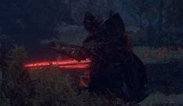 Cacciatore Di Globi Cinerei