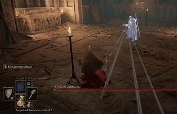 Cavaliera Gabbia Nera