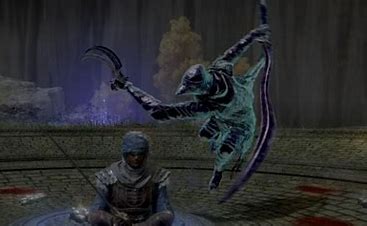 Darriwhil Il Cavalier Limiere