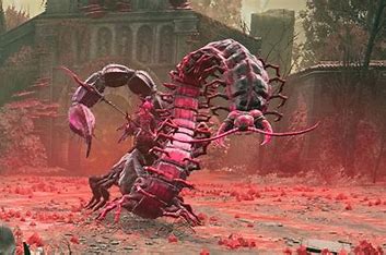 Romina Santa Del Bocciolo