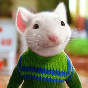 54495064 Photo U 562481919