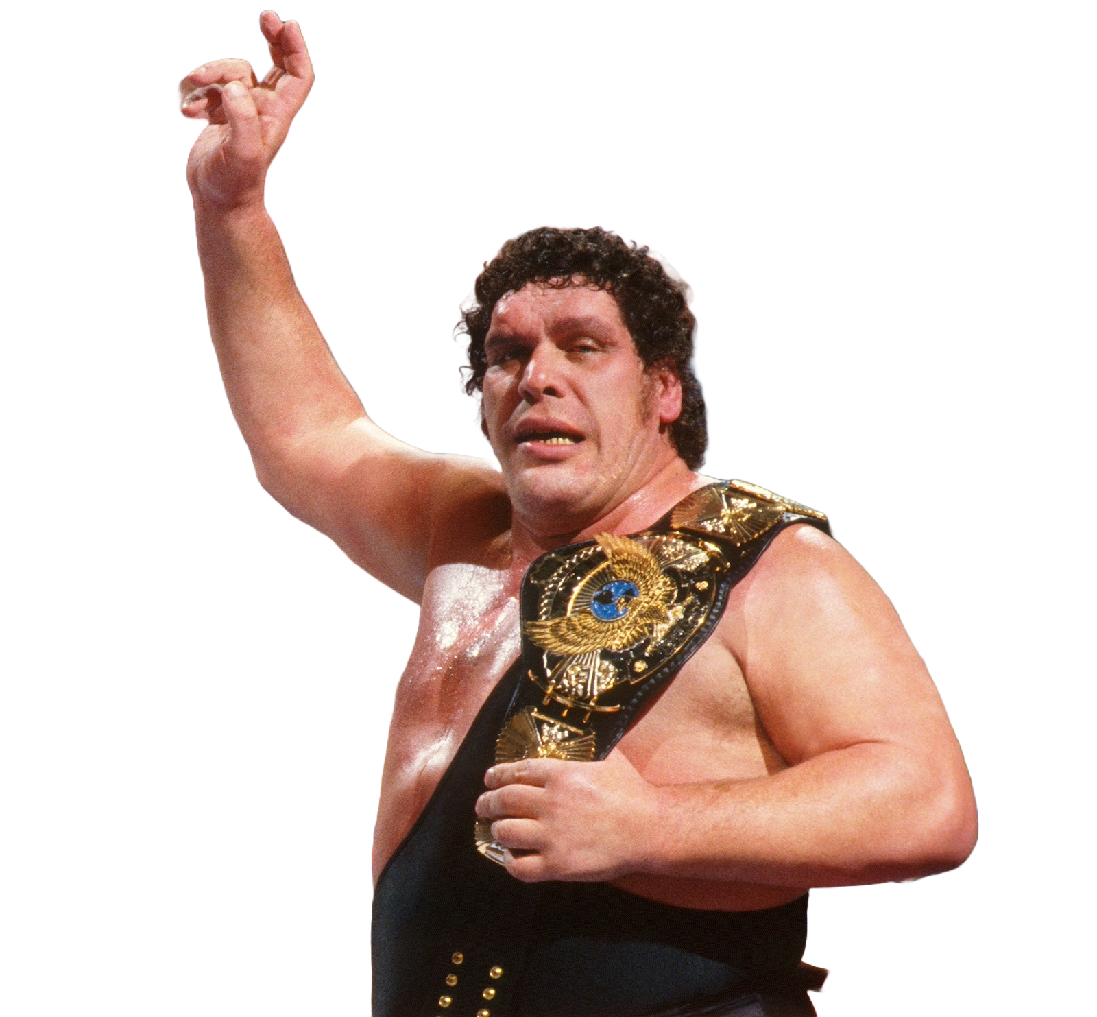 Andre The Giant