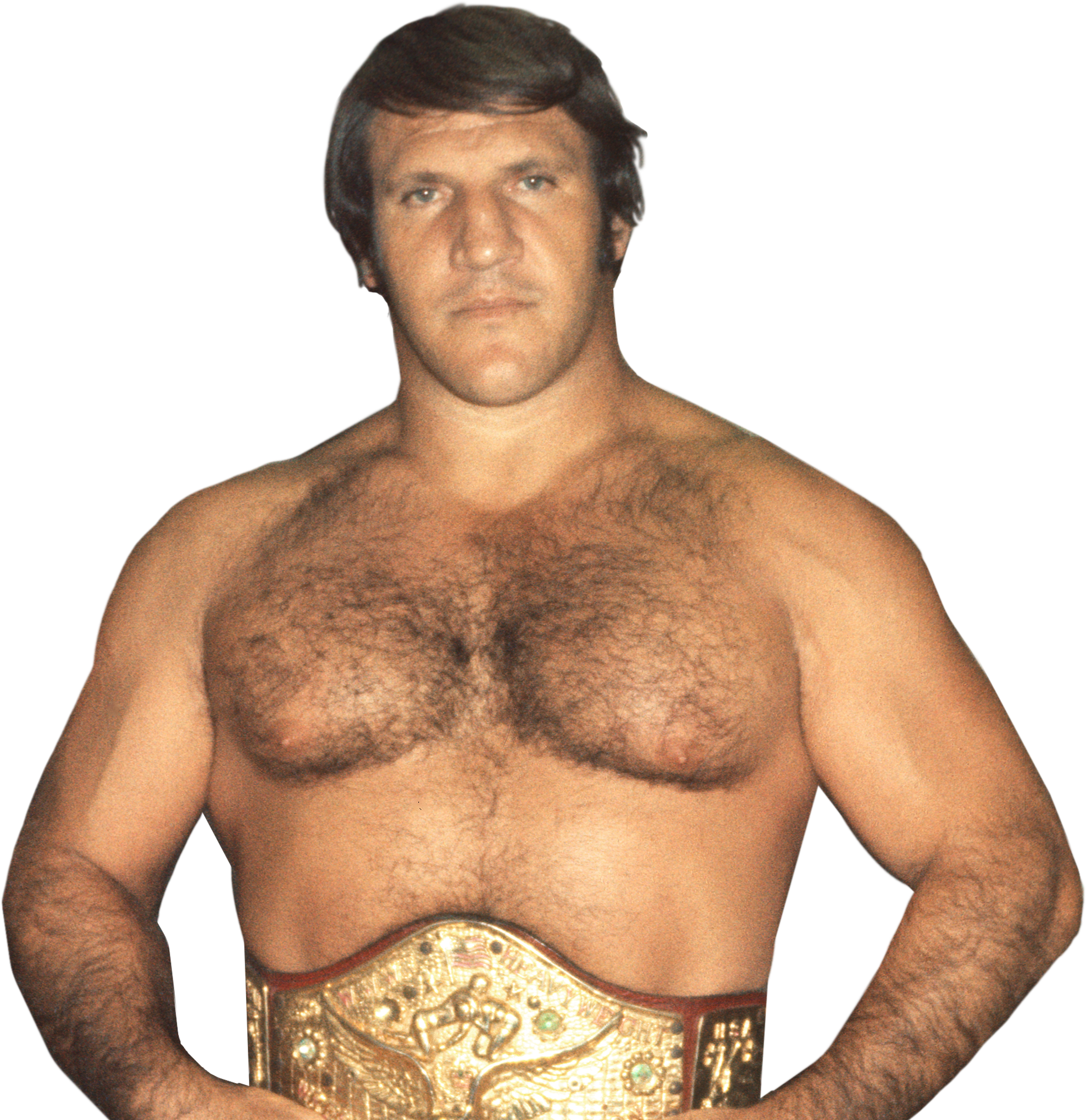 Bruno Sammartino