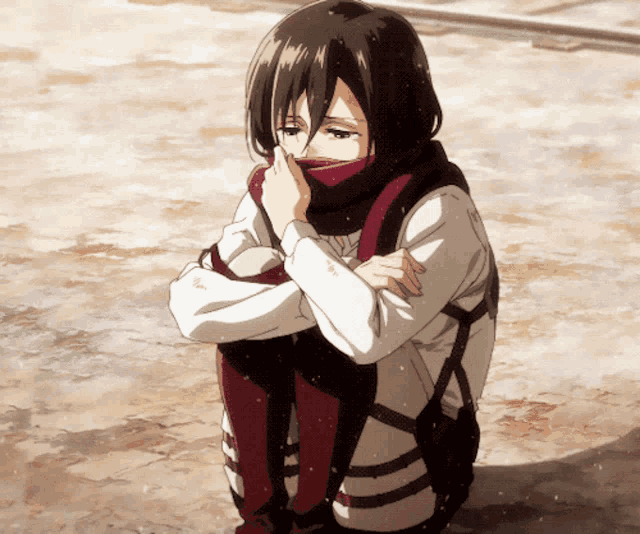 Mikasa