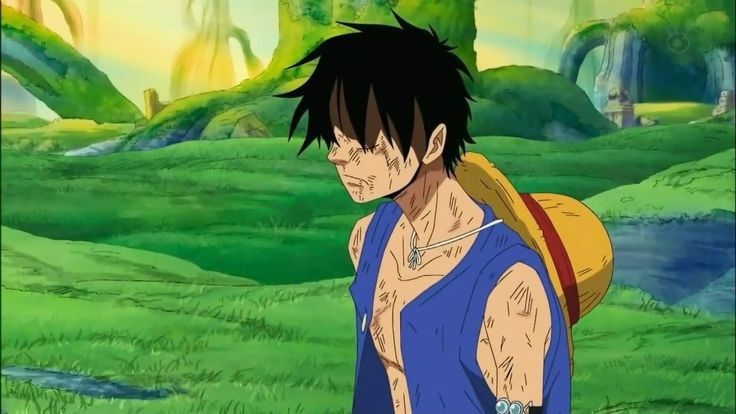 One Piece - Saboady