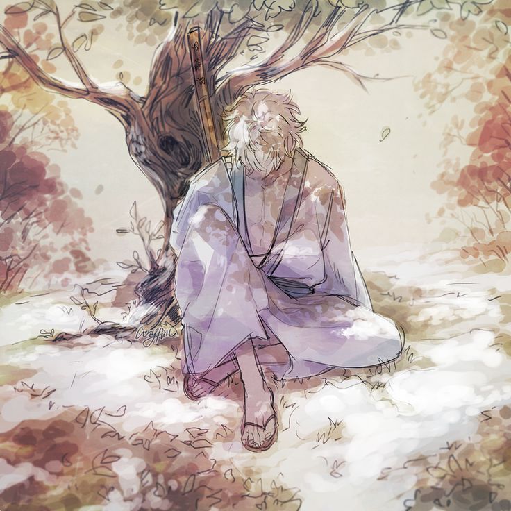 Gintama - Silver Soul