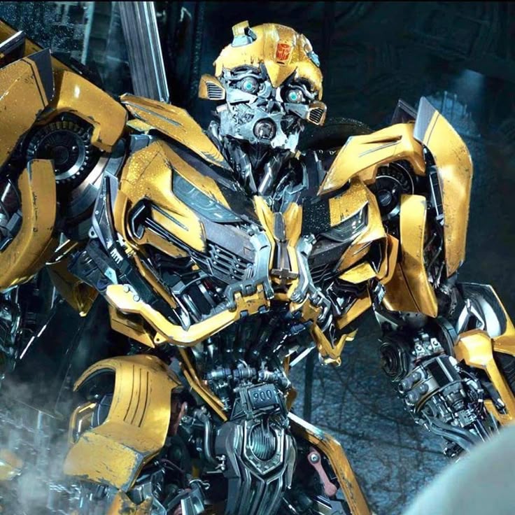 Bumblebee (classique 1, 2, 3)