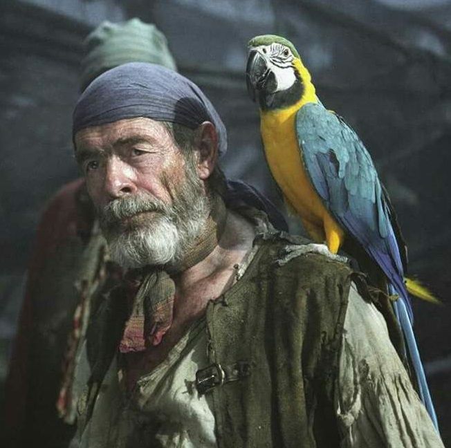 1741782650504 COTTON