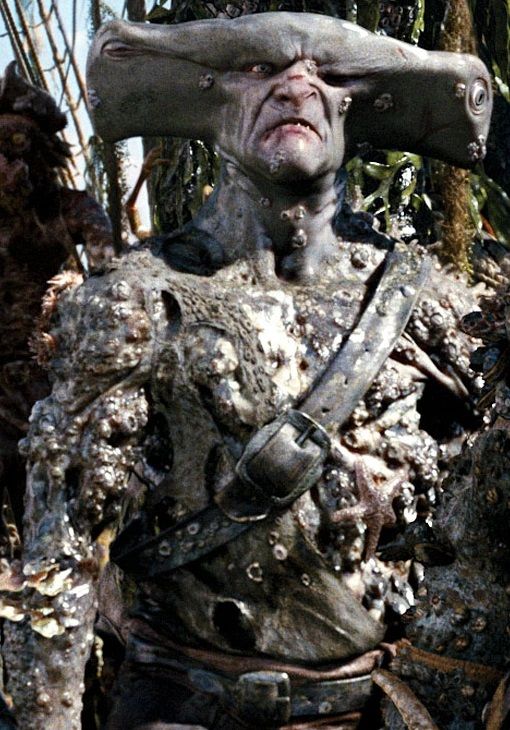 1741782667735 MACCUS