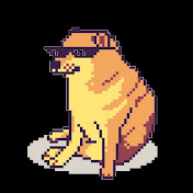 IL DOGGO NON E' UN SERPENTE