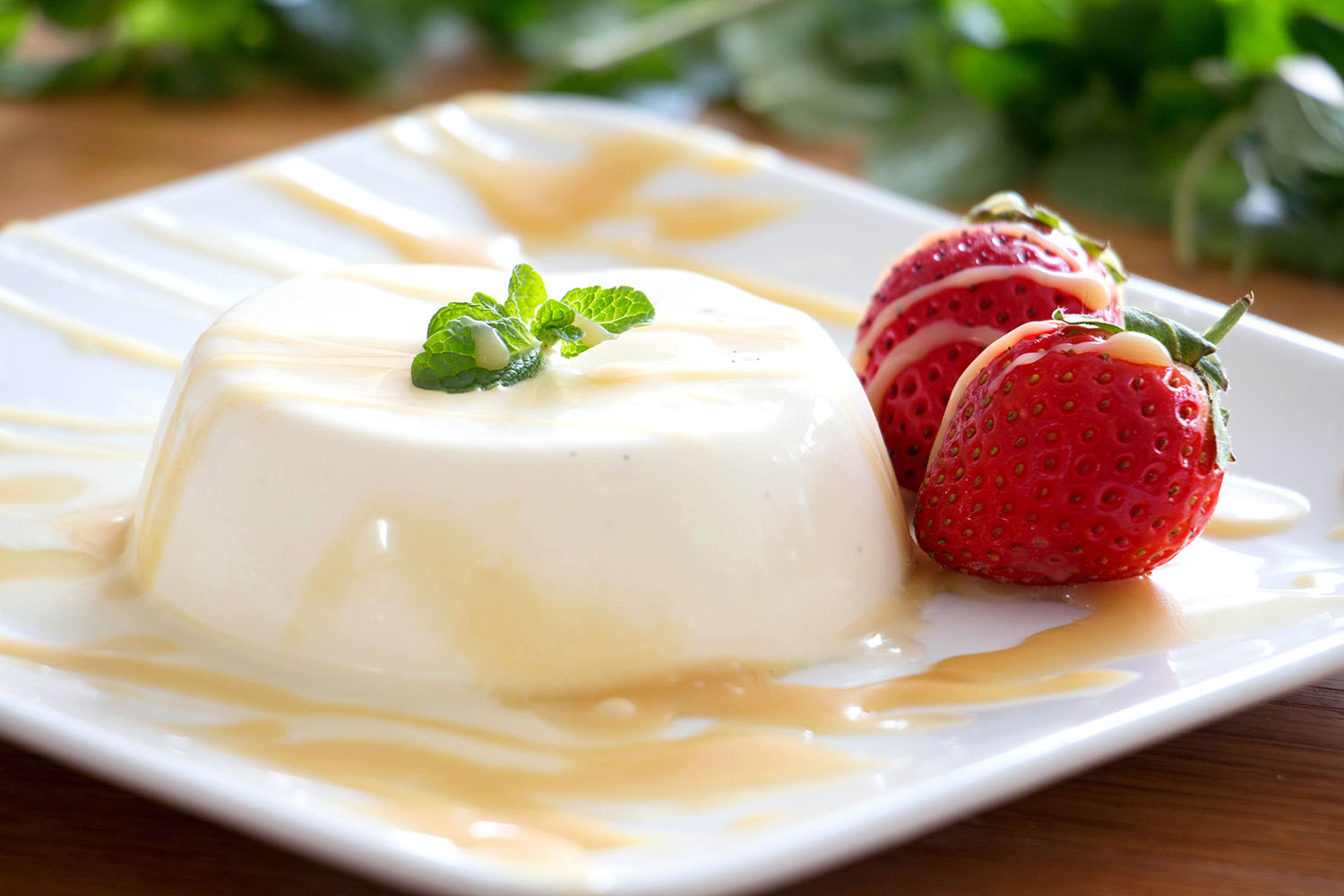 Panna cotta