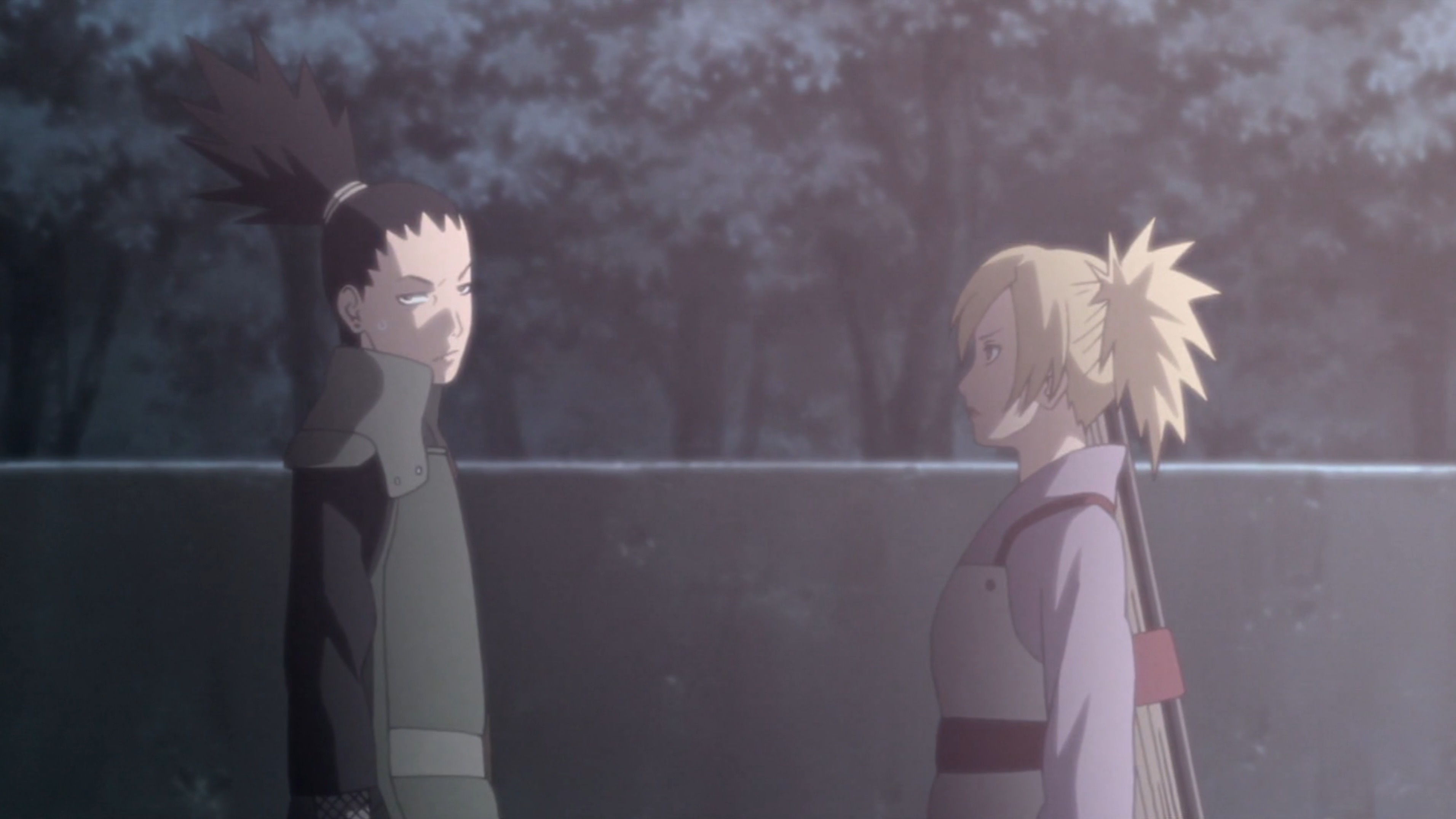 Shikamaru Hiden A Cloud Drifting In Silent Darkness