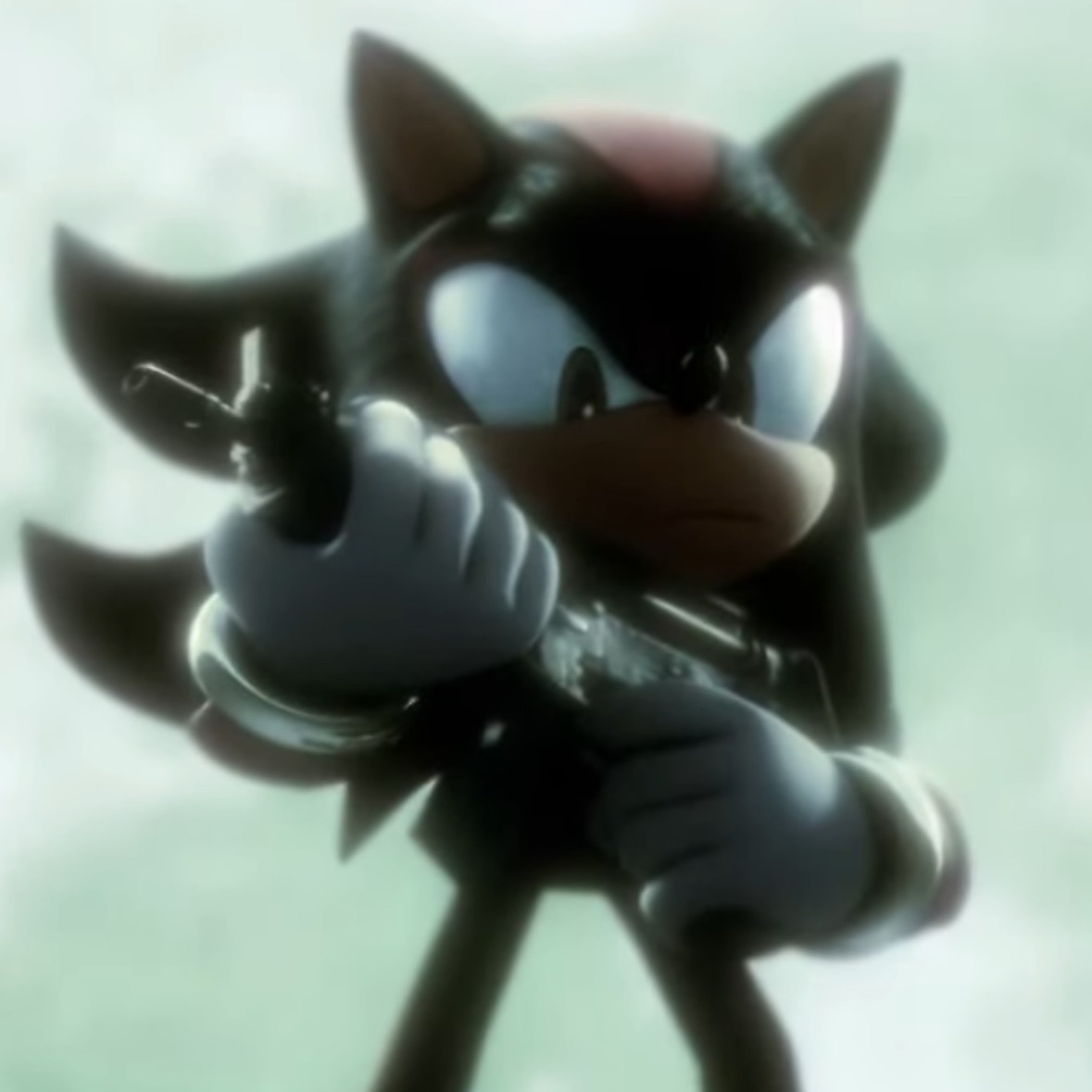 Shadow The Hedgehog